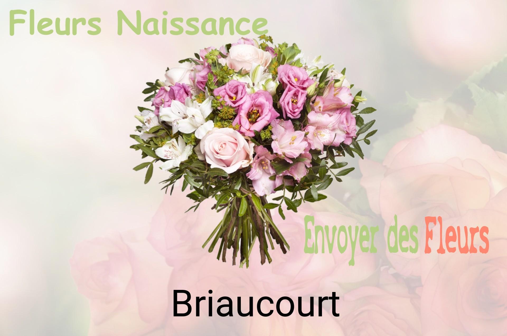 Bouquet de fleurs de naissance livré à Briaucourt