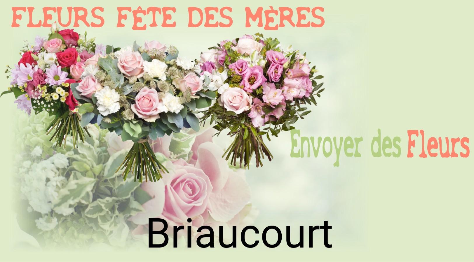 Bouquet de Fête des Mères livré à Briaucourt